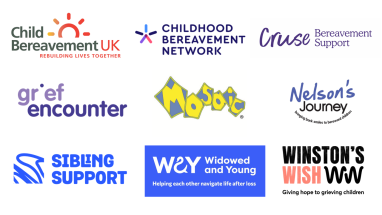Our steering group partners